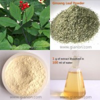 Panax Ginseng Leaf Extract ()